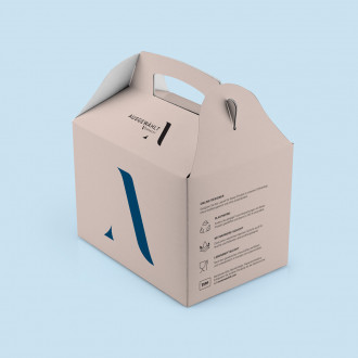 Lunchbox Pappe